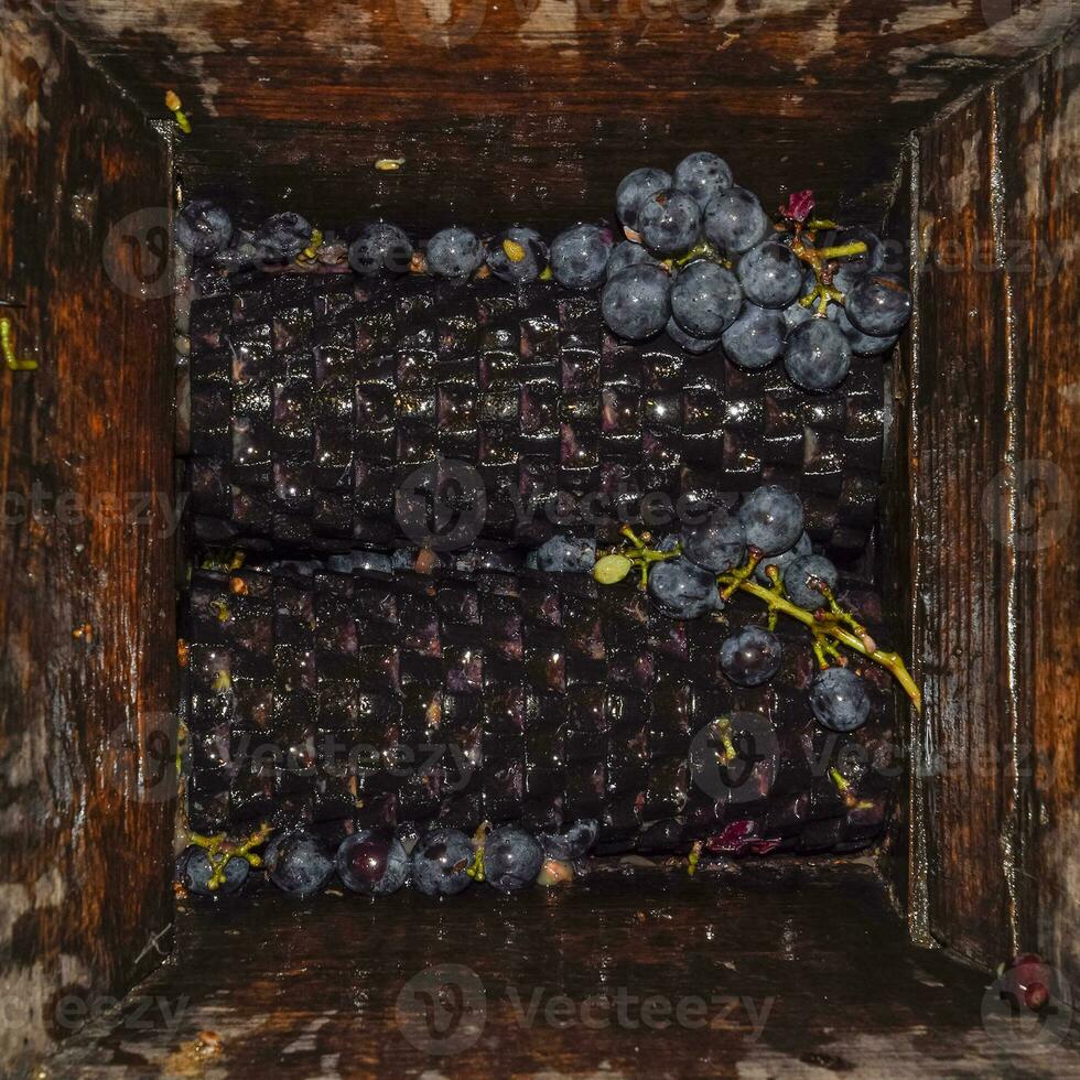 Manual mechanism for crushing grapes. Crush the grapes into juice and