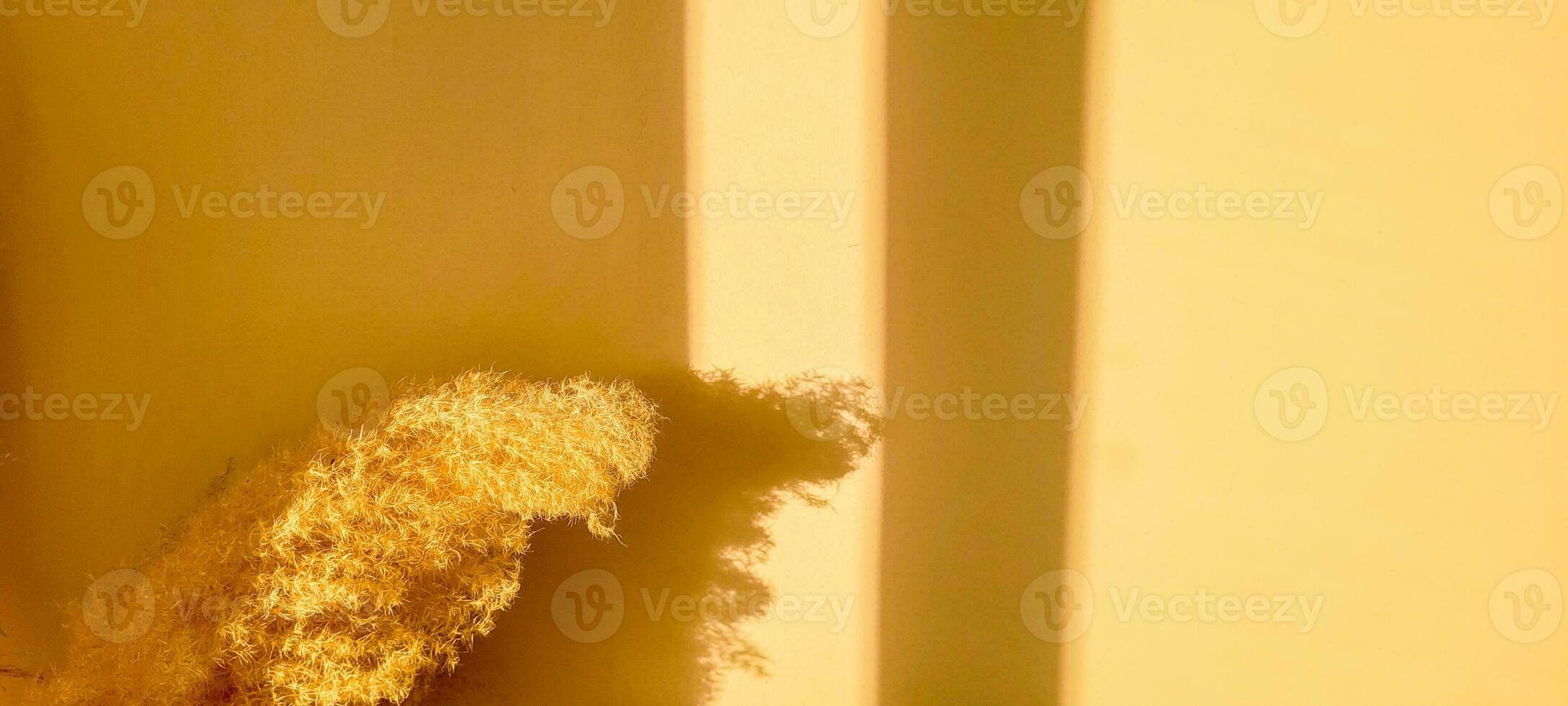 Stand out with the luminosity of textured yellow. A vibrant, modern background to elevate your project. Get it now and shine with style photo