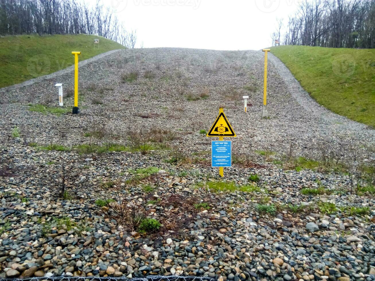 A clearing in the forest for the gas pipeline photo