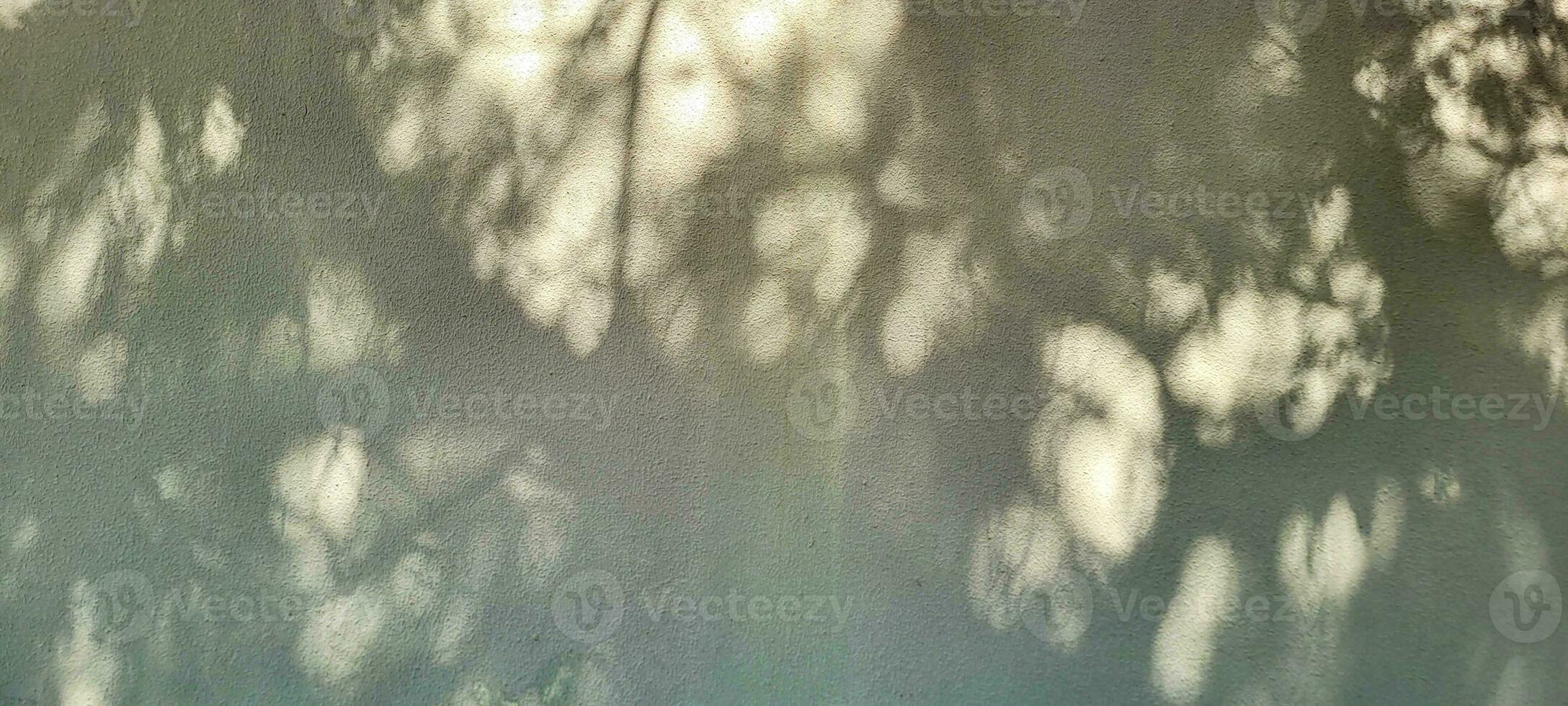 Subtle silhouettes of leaves dance in soft shadows against a white background, a natural elegance in every stroke. Achieve visual serenity with this unique background. photo