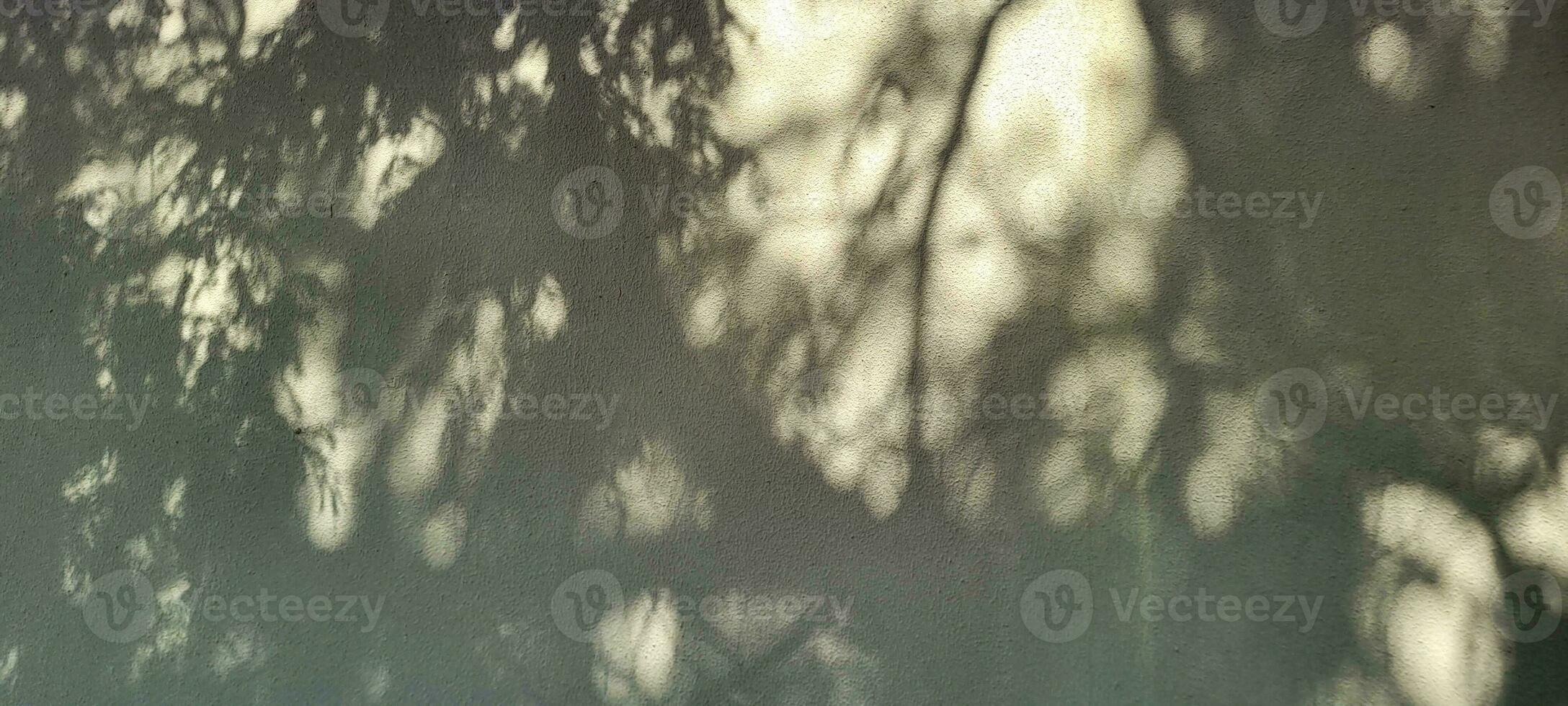 Subtle silhouettes of leaves dance in soft shadows against a white background, a natural elegance in every stroke. Achieve visual serenity with this unique background. photo