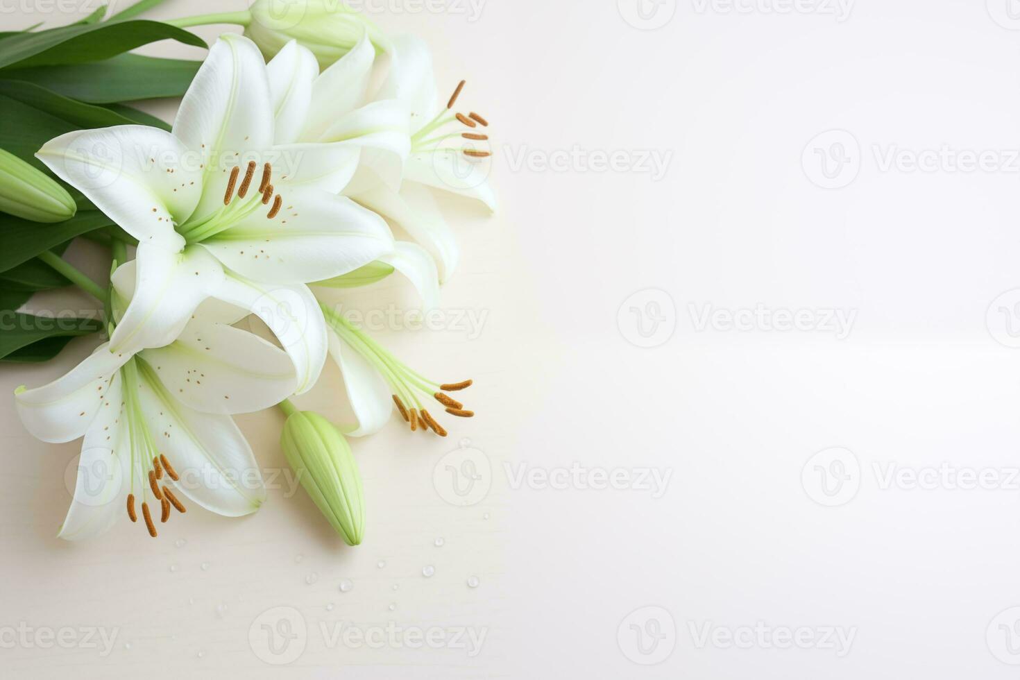 AI generated Bright white lilies in bloom placed on a white background. photo