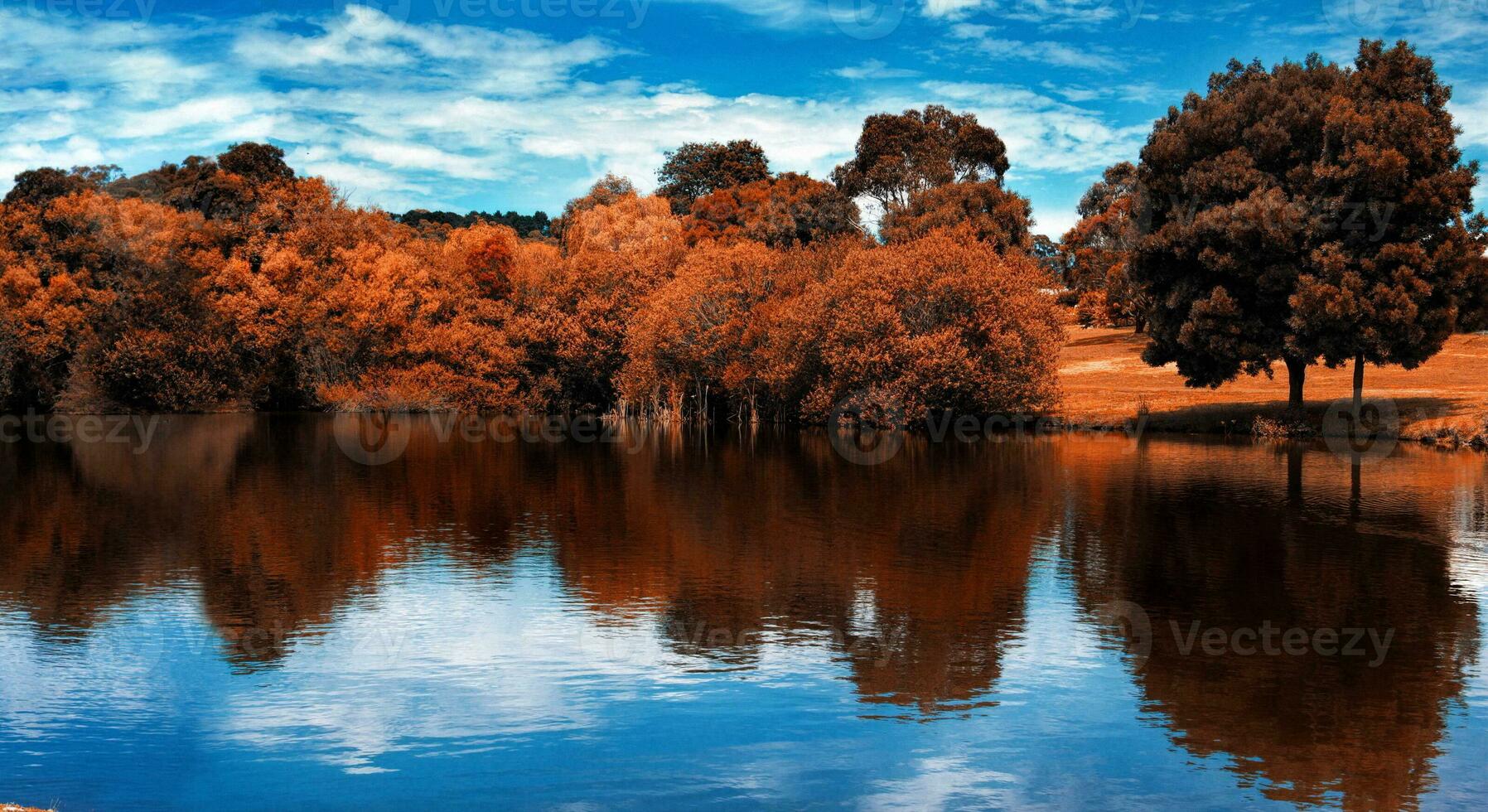 Lake view in fall time photo