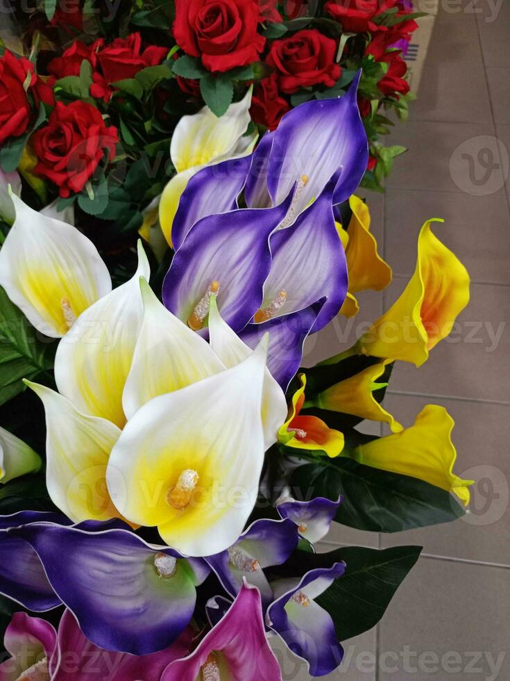 colorful flowers blooming in shop garden photo