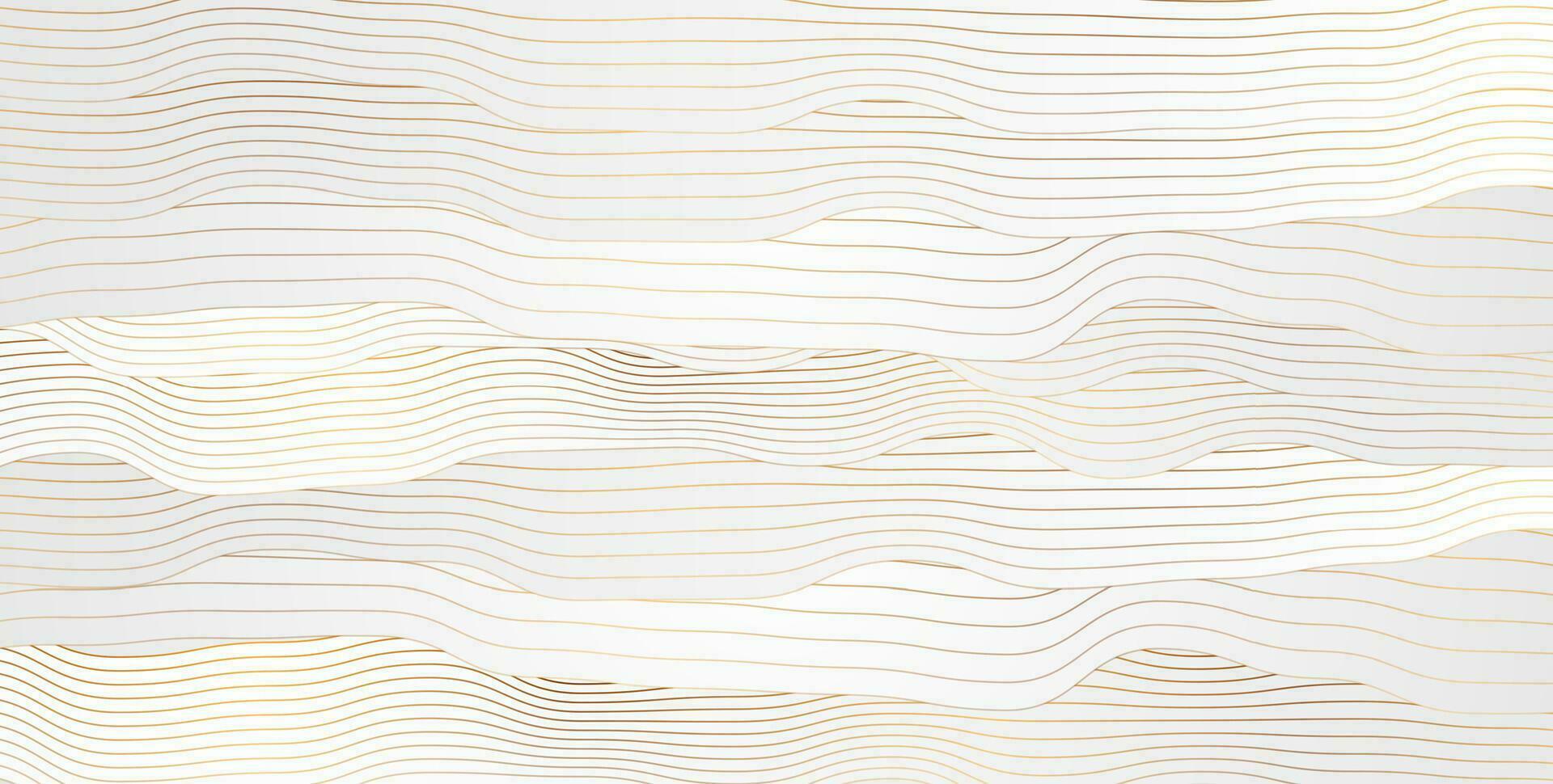 Grey wavy curved stripes with golden lines abstract background vector