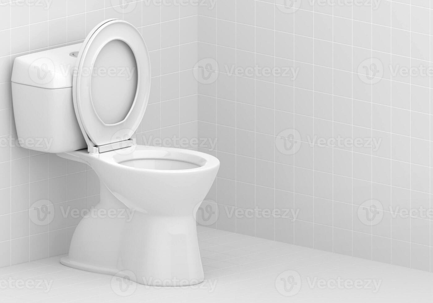 Toilet bowl in the bathroom photo