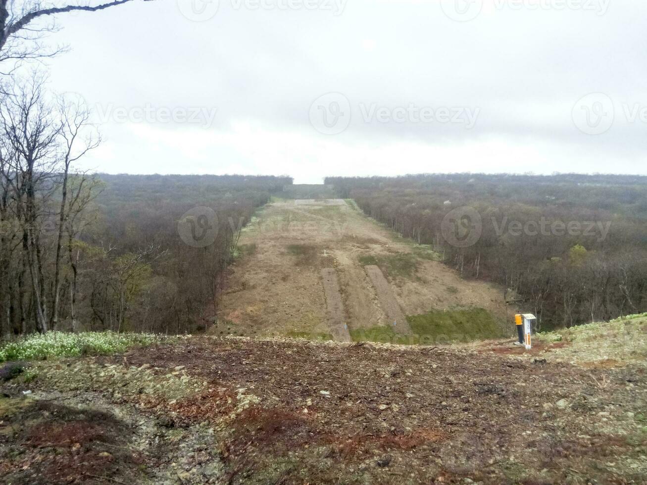 A clearing in the forest for the gas pipeline photo