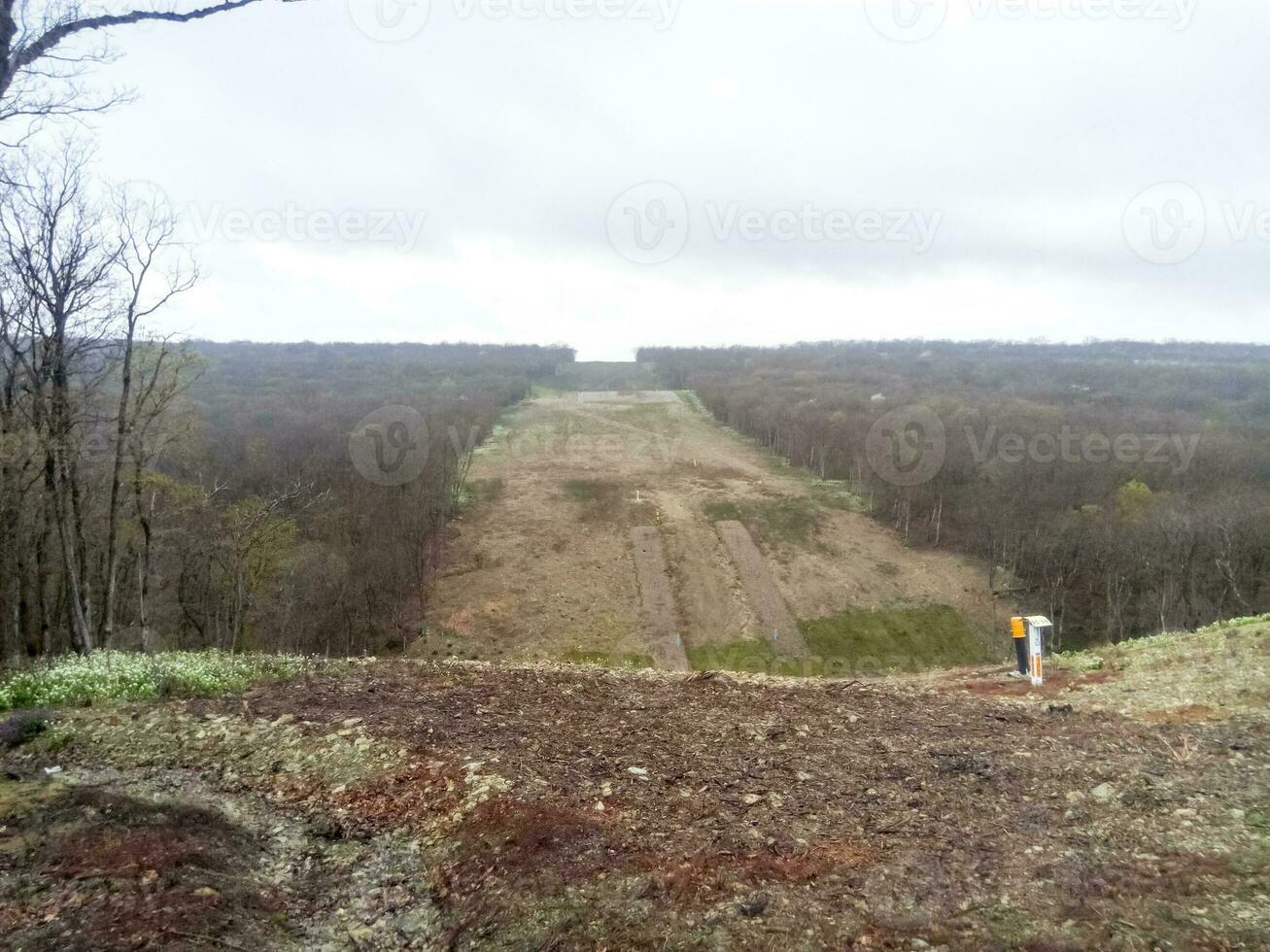 un claro en el bosque para el gas tubería foto