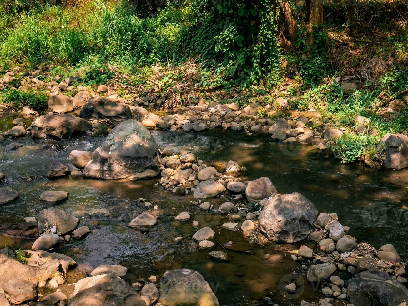 el fluir de un pequeño río en el bosque lleno con rocas foto