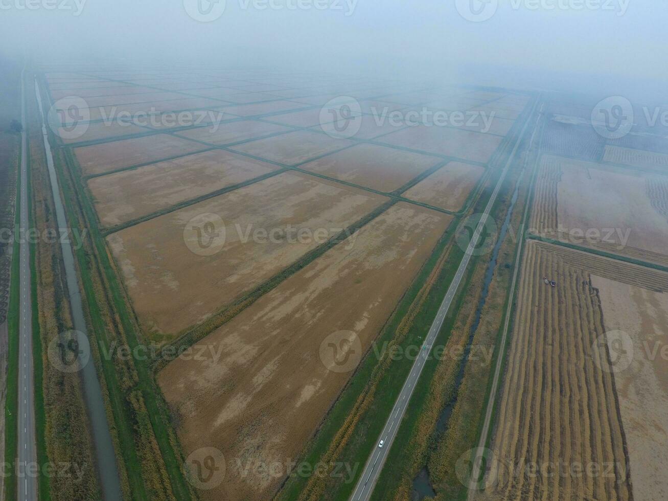 Burning straw in the fields after harvesting wheat crop photo