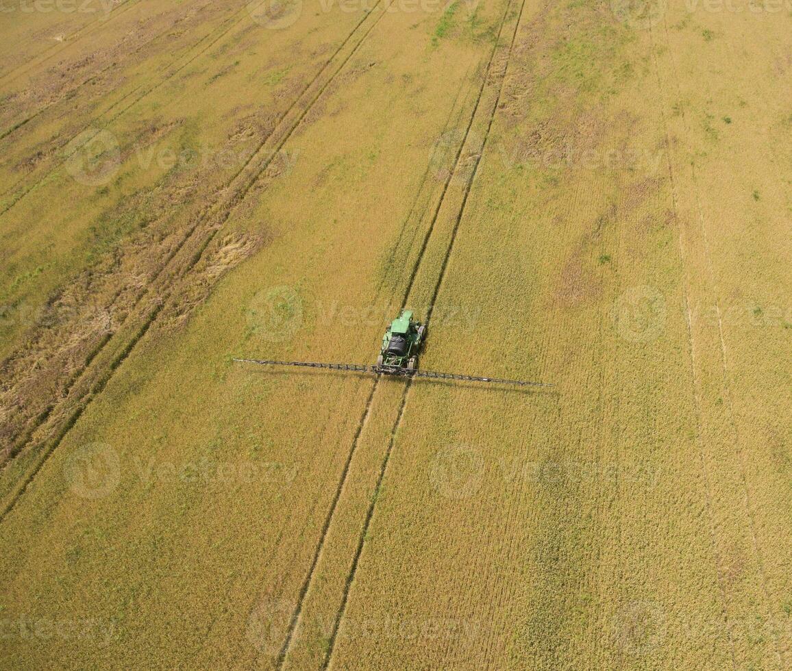 Adding herbicide tractor on the field of ripe wheat. View from above. photo