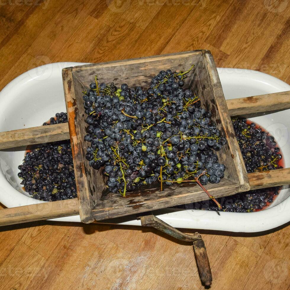 Manual mechanism for crushing grapes. Crush the grapes into juice and wine photo