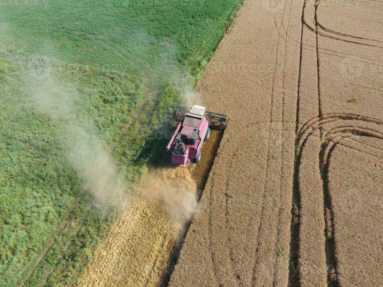 Cleaning wheat harvester. Top view. photo
