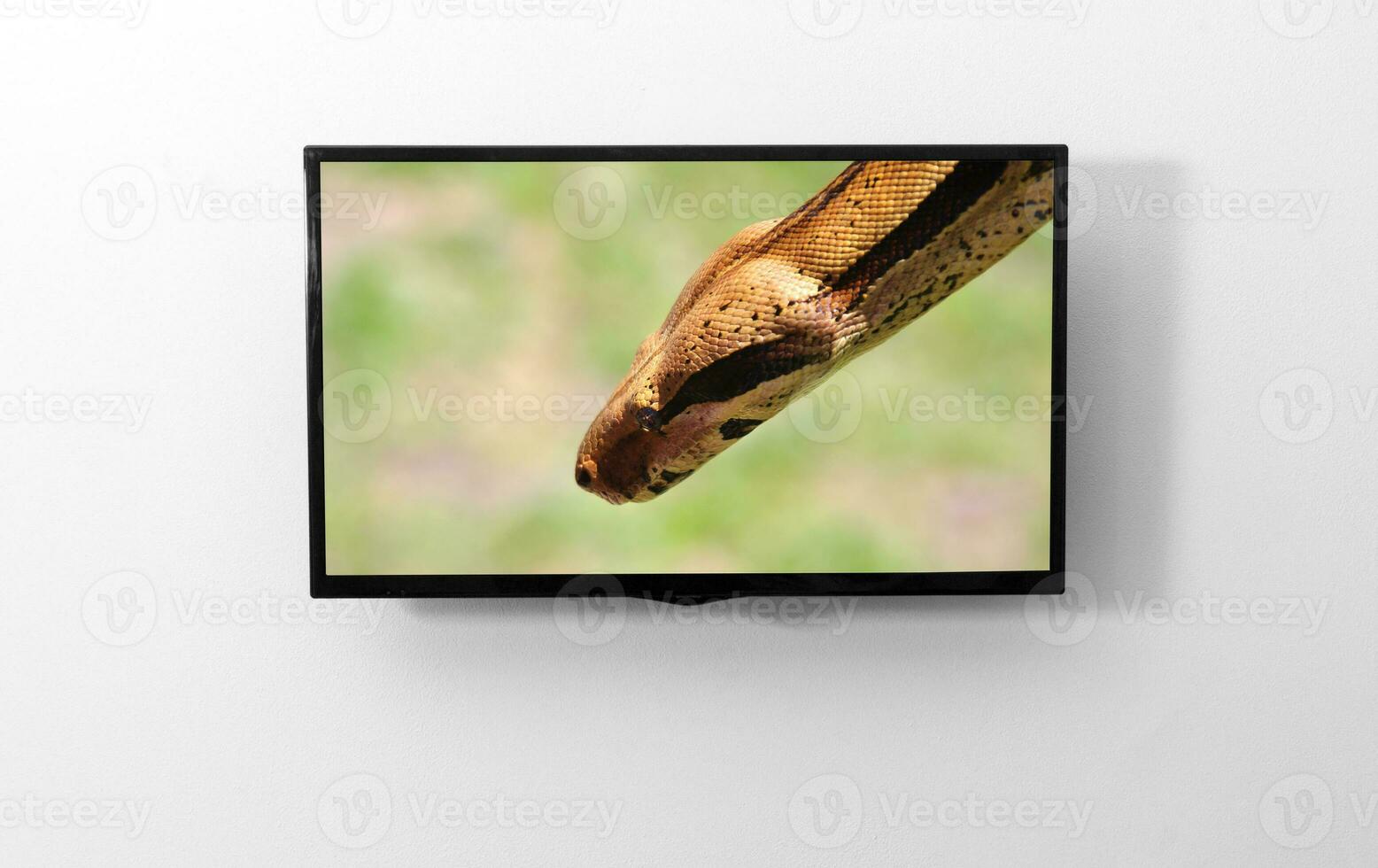TV monitor on the wall photo
