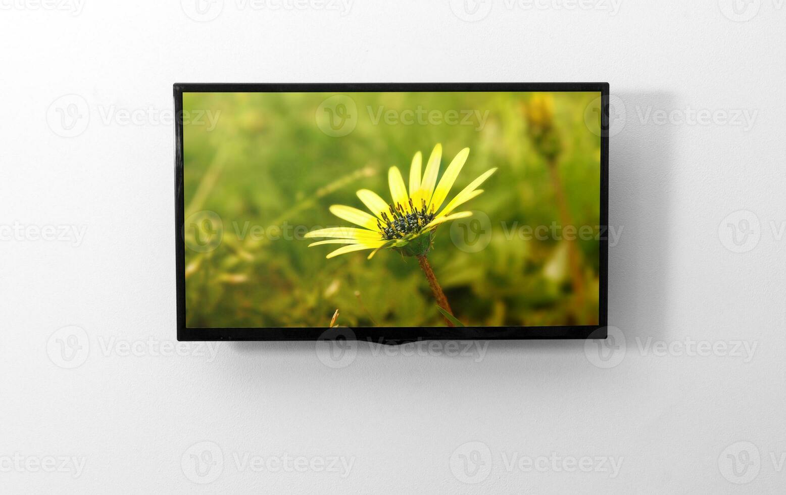 TV monitor on the wall photo