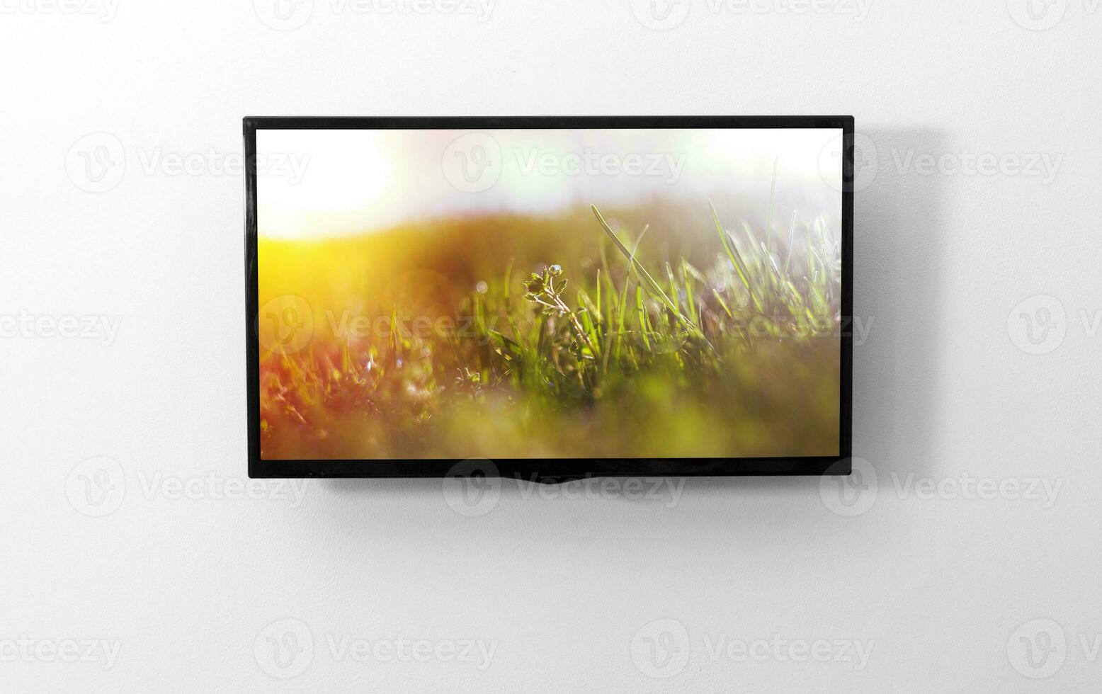 TV monitor on the wall photo