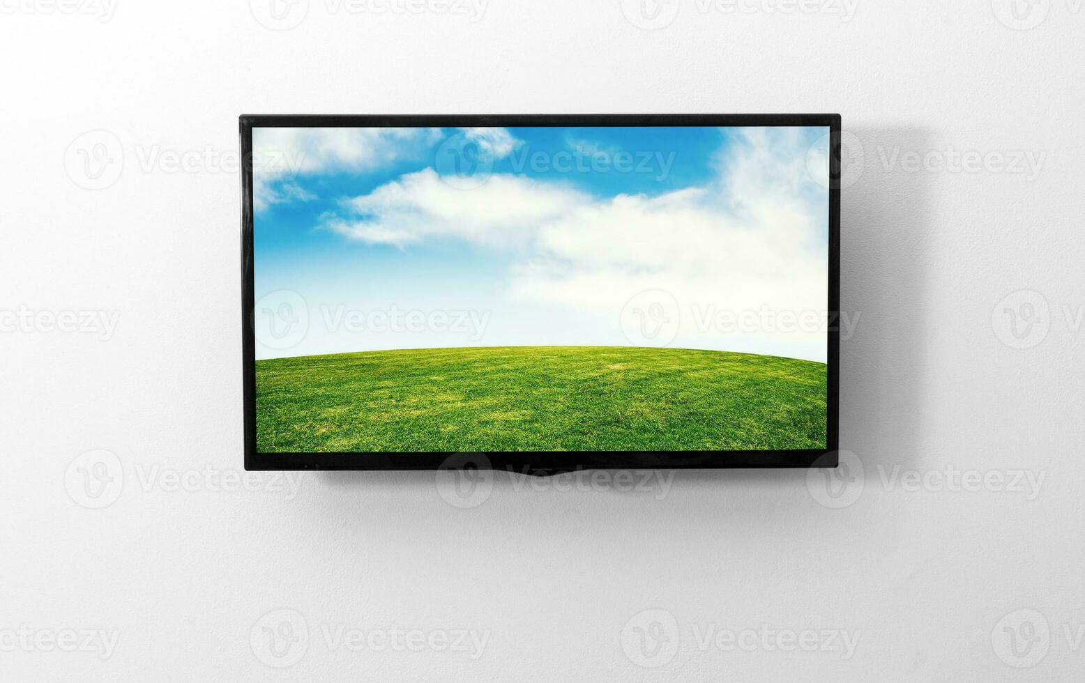 TV monitor on the wall photo