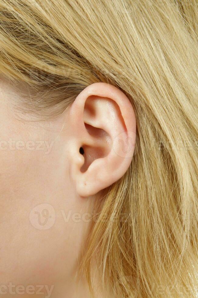 girls ear closeup photo