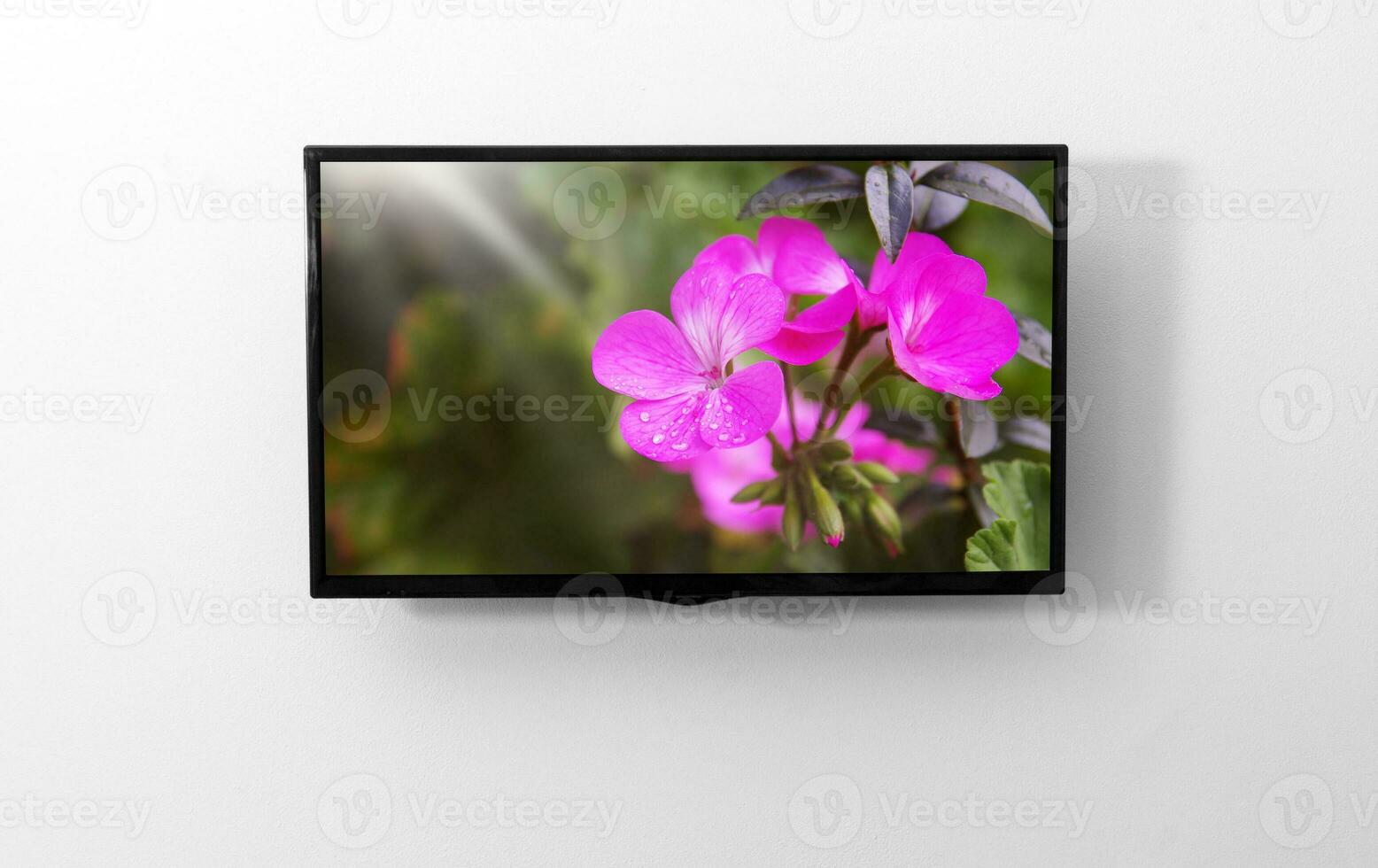 TV monitor on the wall photo