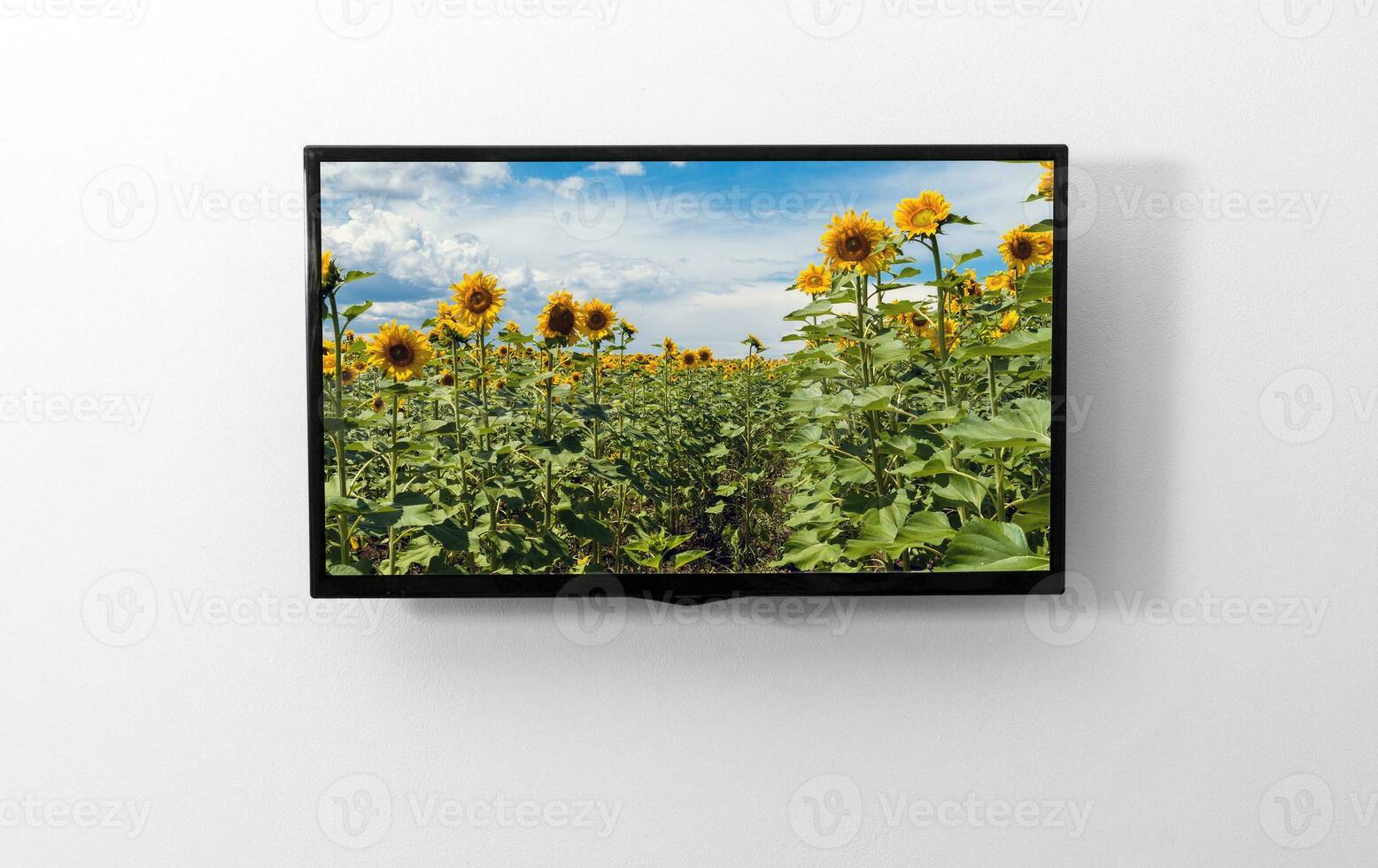 TV monitor on the wall photo