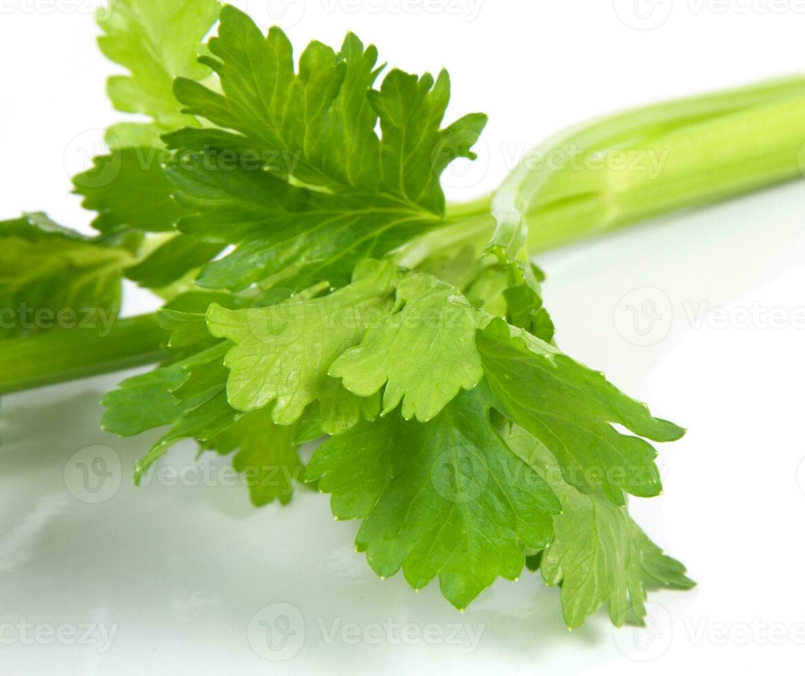 Celery on white photo