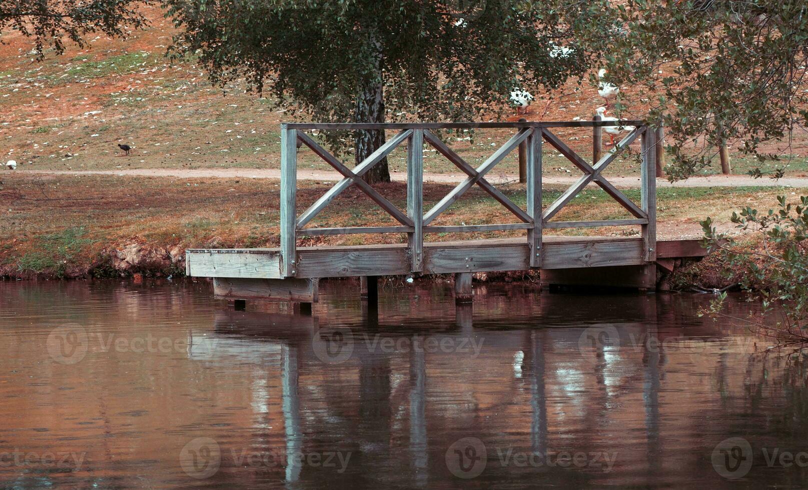 pier on lake photo