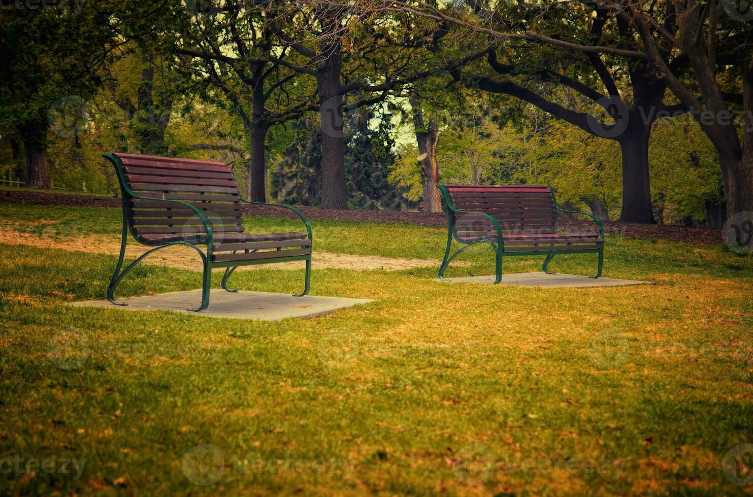 benches in park photo