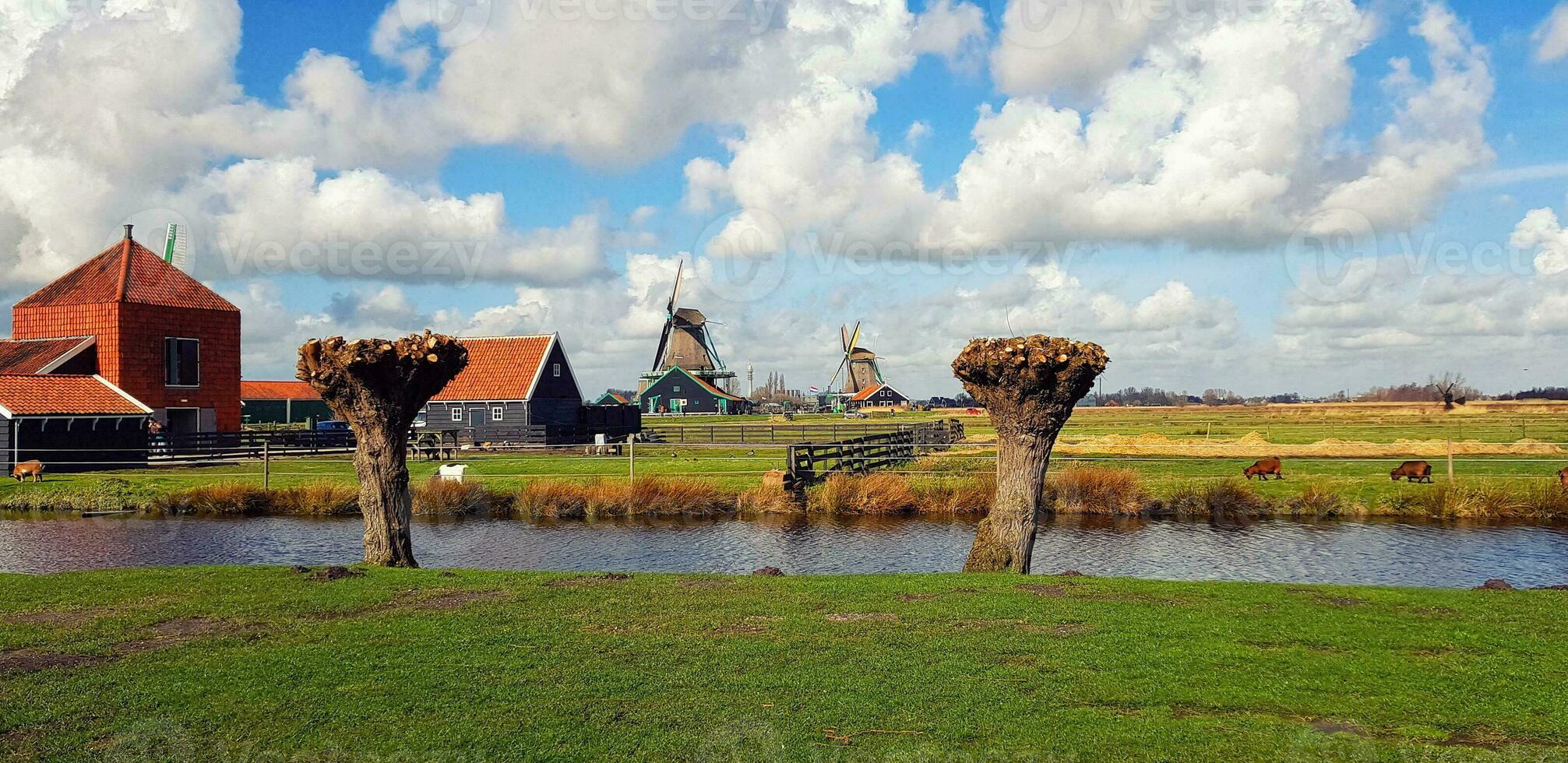 Houses on the river. Travel in Netherlands photo