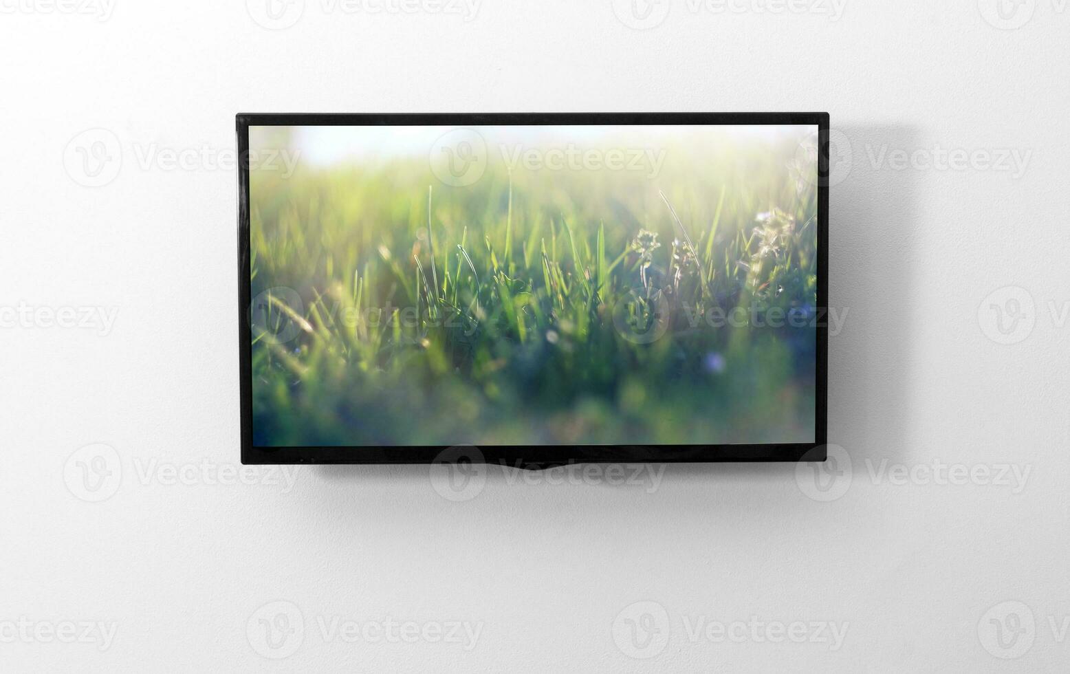 TV monitor on the wall photo