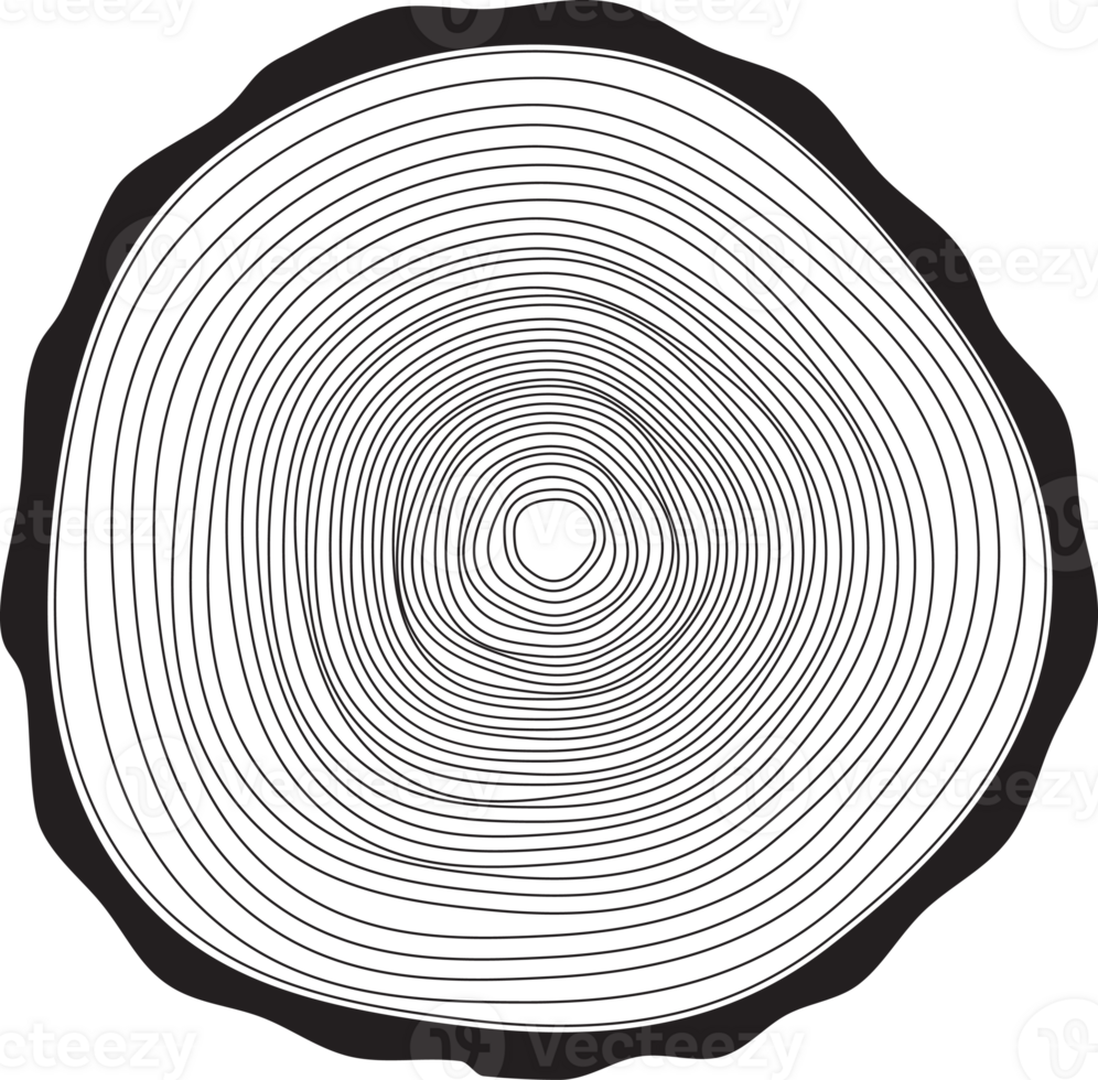 Tree rings background. png
