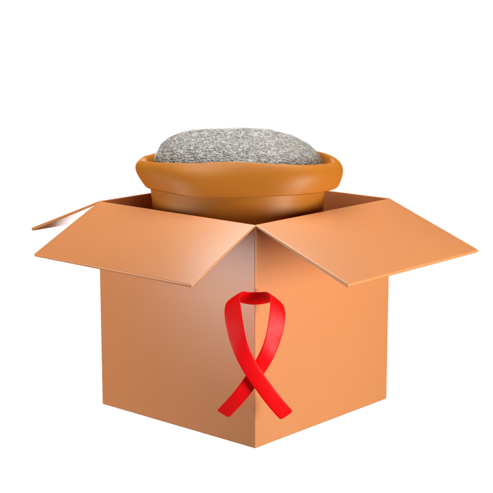 3d riso donazione scatola png