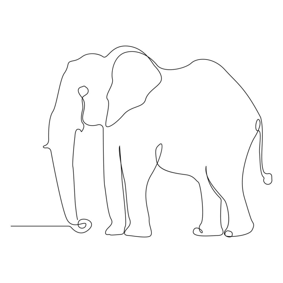 World wild life continuous single line art drawing and elephant one line outline vector art  illustration