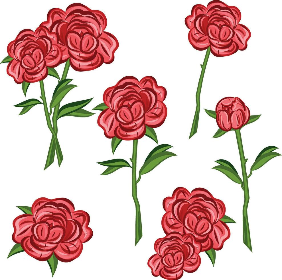 Vector stock flowers illustration, Red peony on a white background. Peonis. Delicate petals and green leaves. Template for a postcard. On a white background.