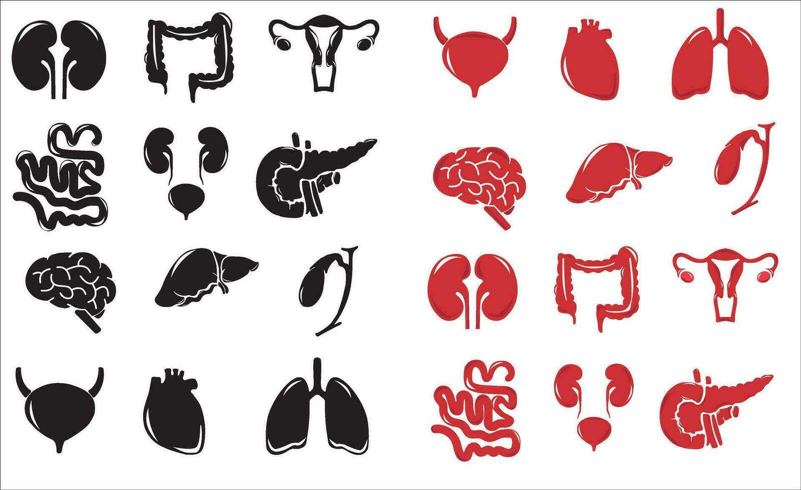 Human internal organs. Vector sketch isolated illustration. Hand drawn doodle anatomy symbols set.