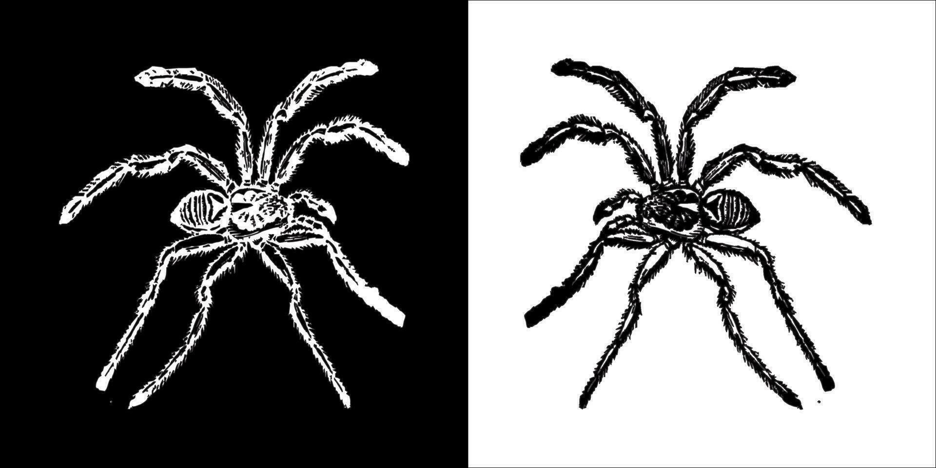 Illustration vector graphics of spider icon