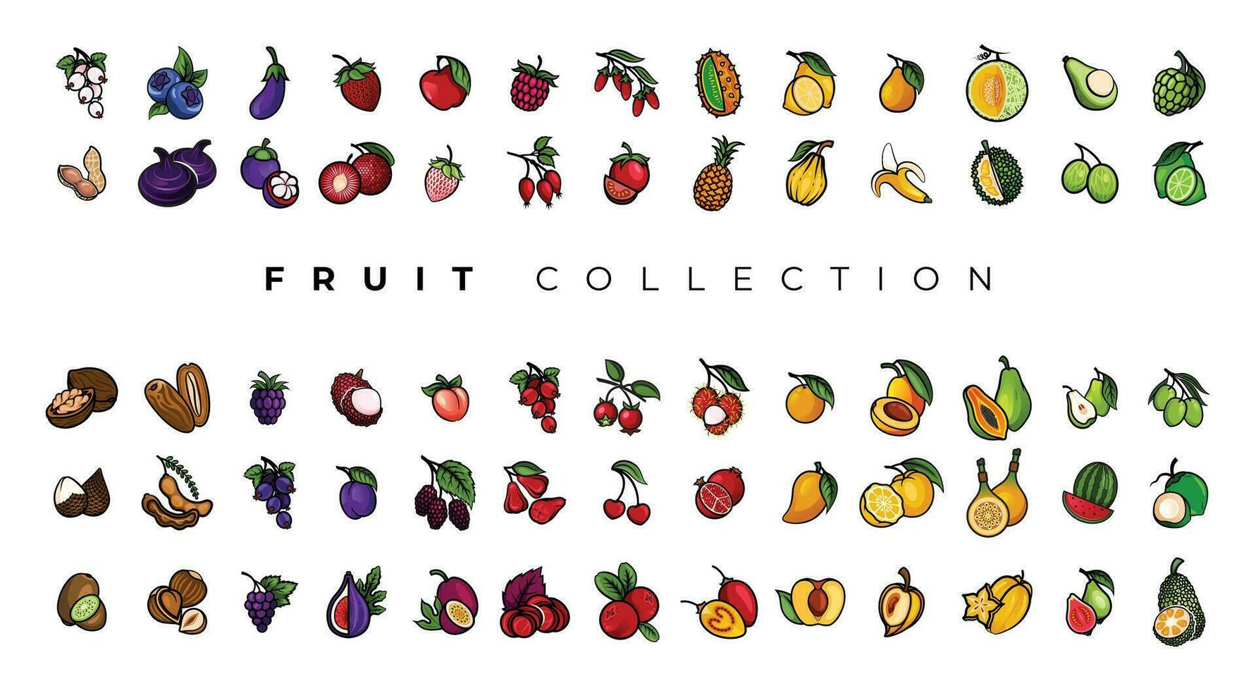 ALL FRUIT DESIGN STOCK vector