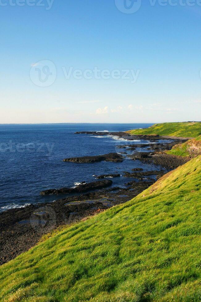 Australian coast view photo