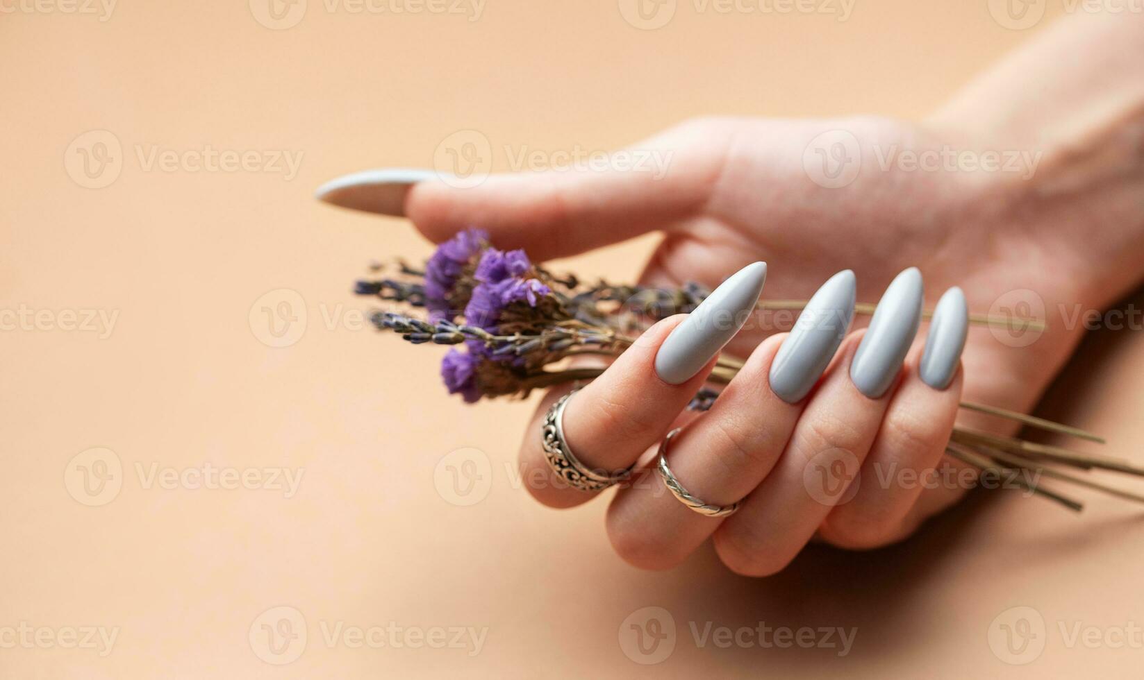 Close-up of a woman's hands with grey manicured nails photo