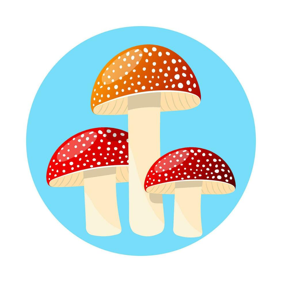 Group of Fly agaric with red cap mushrooms and white dots vector illustration