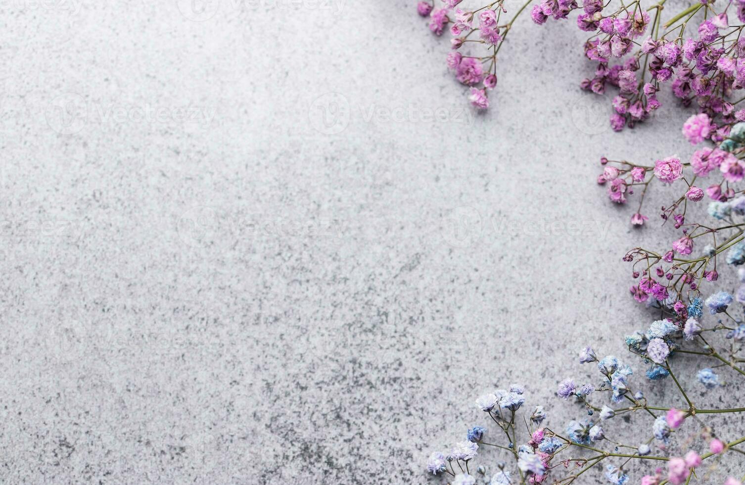 Colored gypsophila flowers on concrete background photo