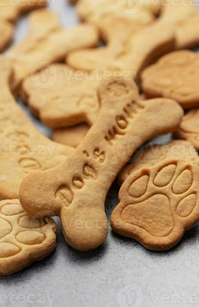 Homemade dog biscuits photo