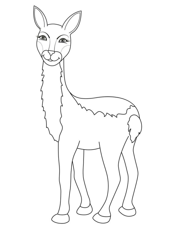 Vector illustration of vicuna isolated on white background. Coloring page.