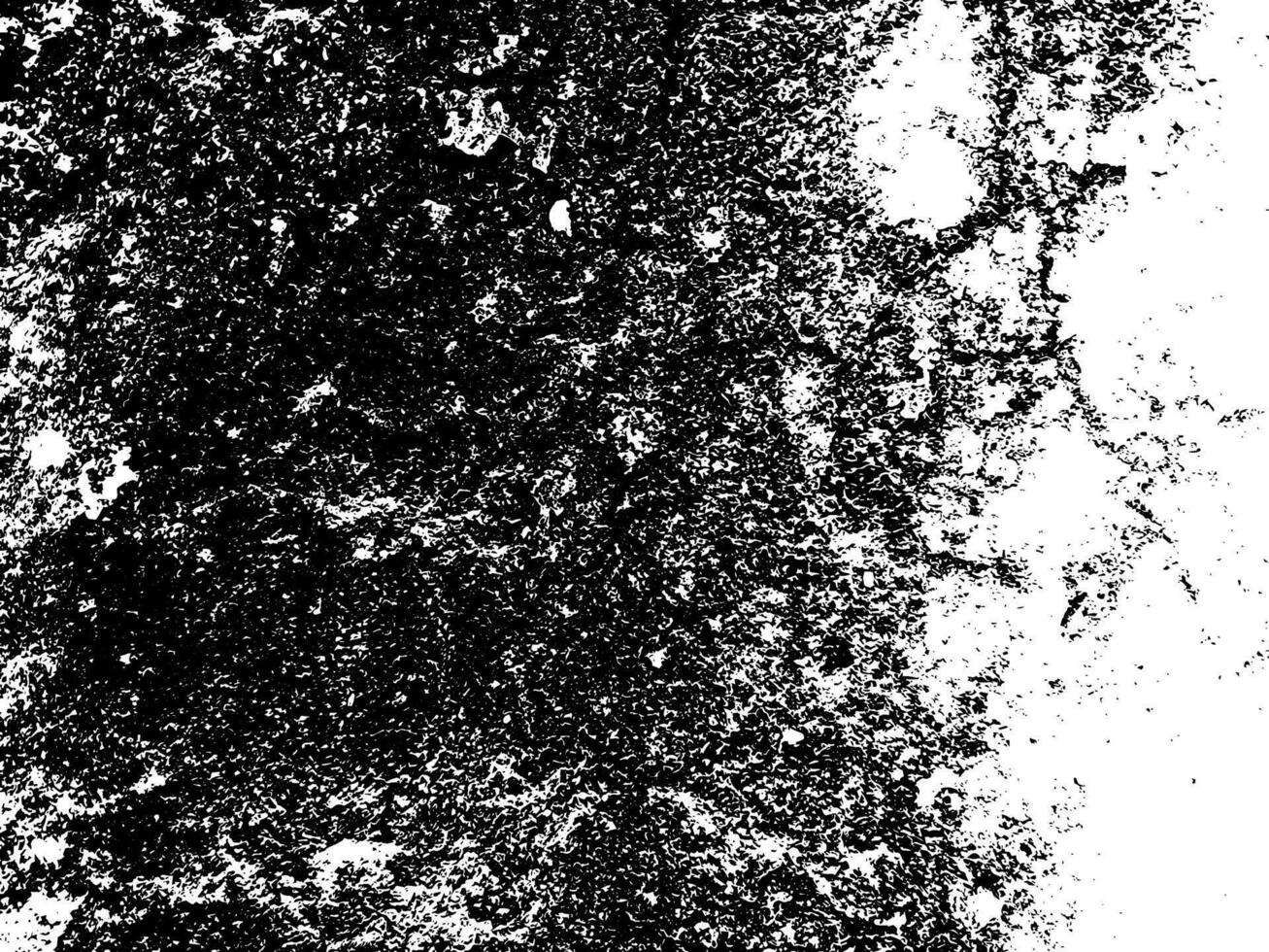 grunge textura blanco y negro vector