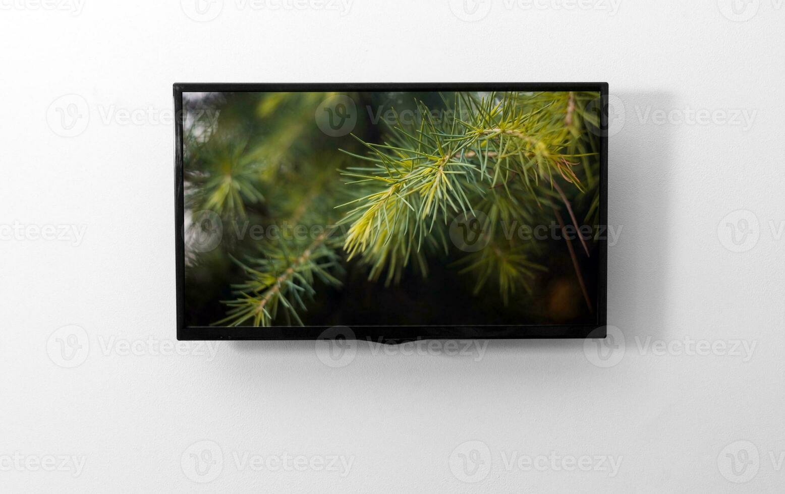 TV monitor on the wall photo