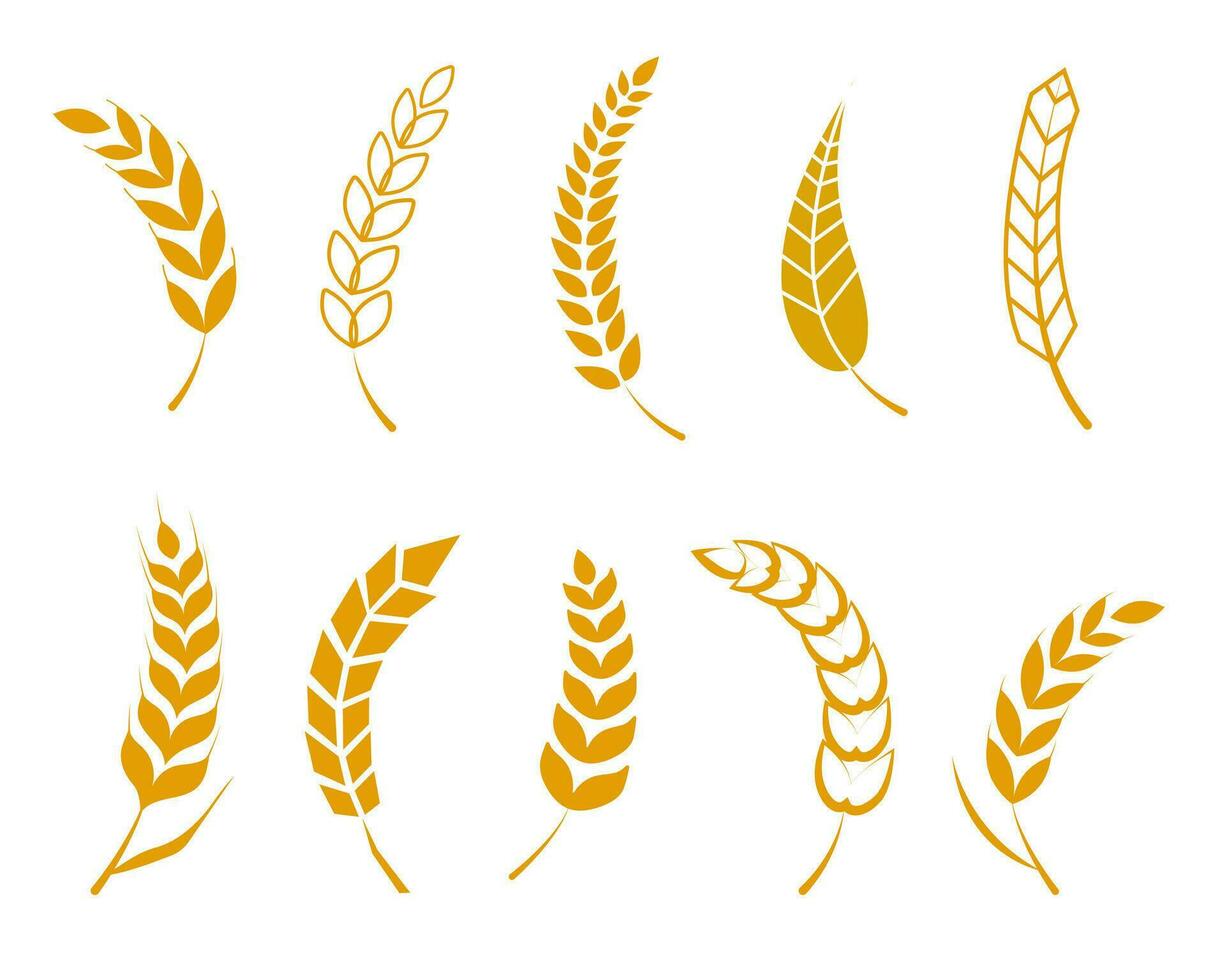 Set of simple icons of golden ears of wheat. Wheat logo design elements for beer, organic fresh food corn farm, grain element, wheat simple pattern. Vector illustration.