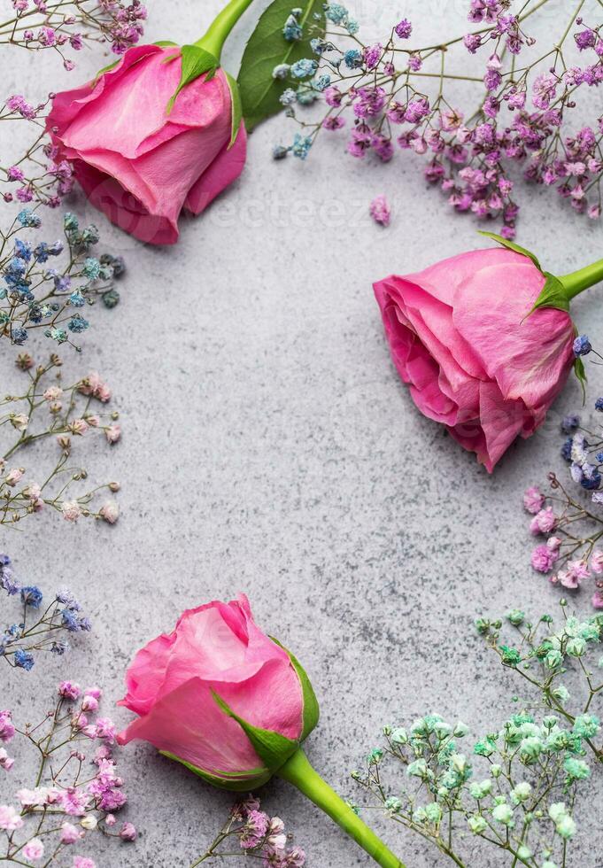 Colored gypsophila flowers and pink roses on concrete background photo