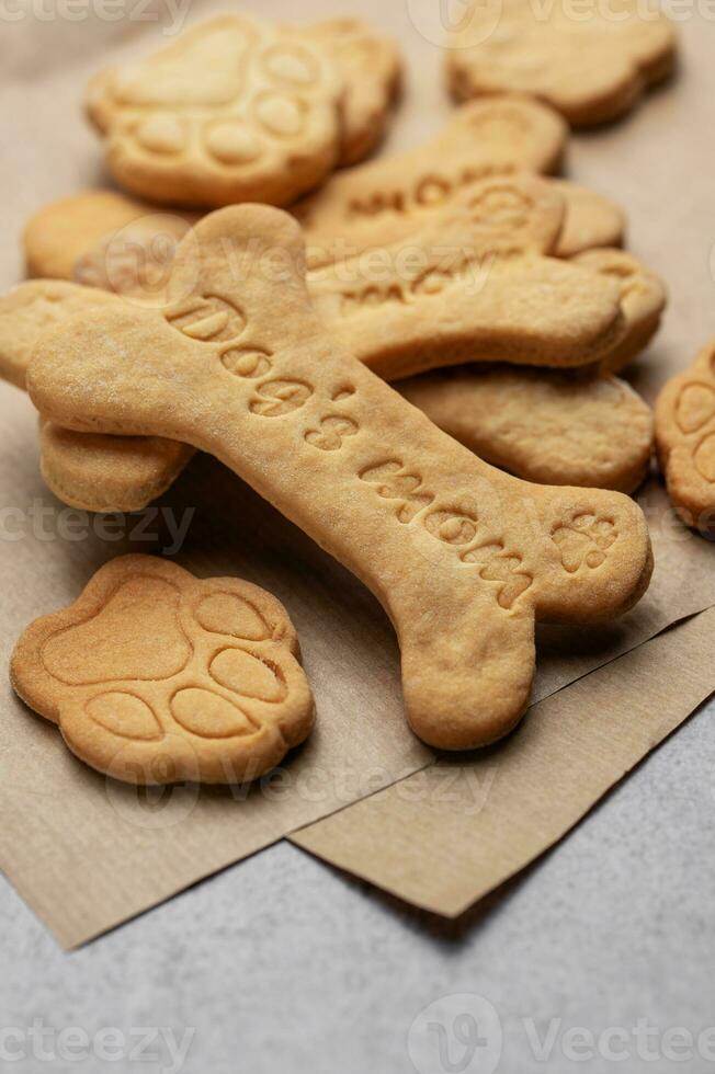 Homemade dog biscuits photo