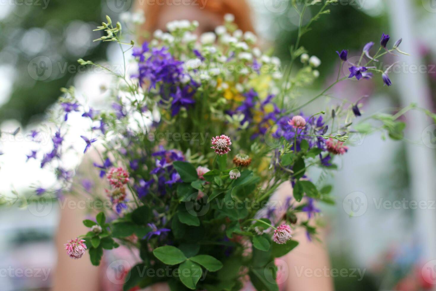 Bouquet of wildflowers in the hands of a girl photo