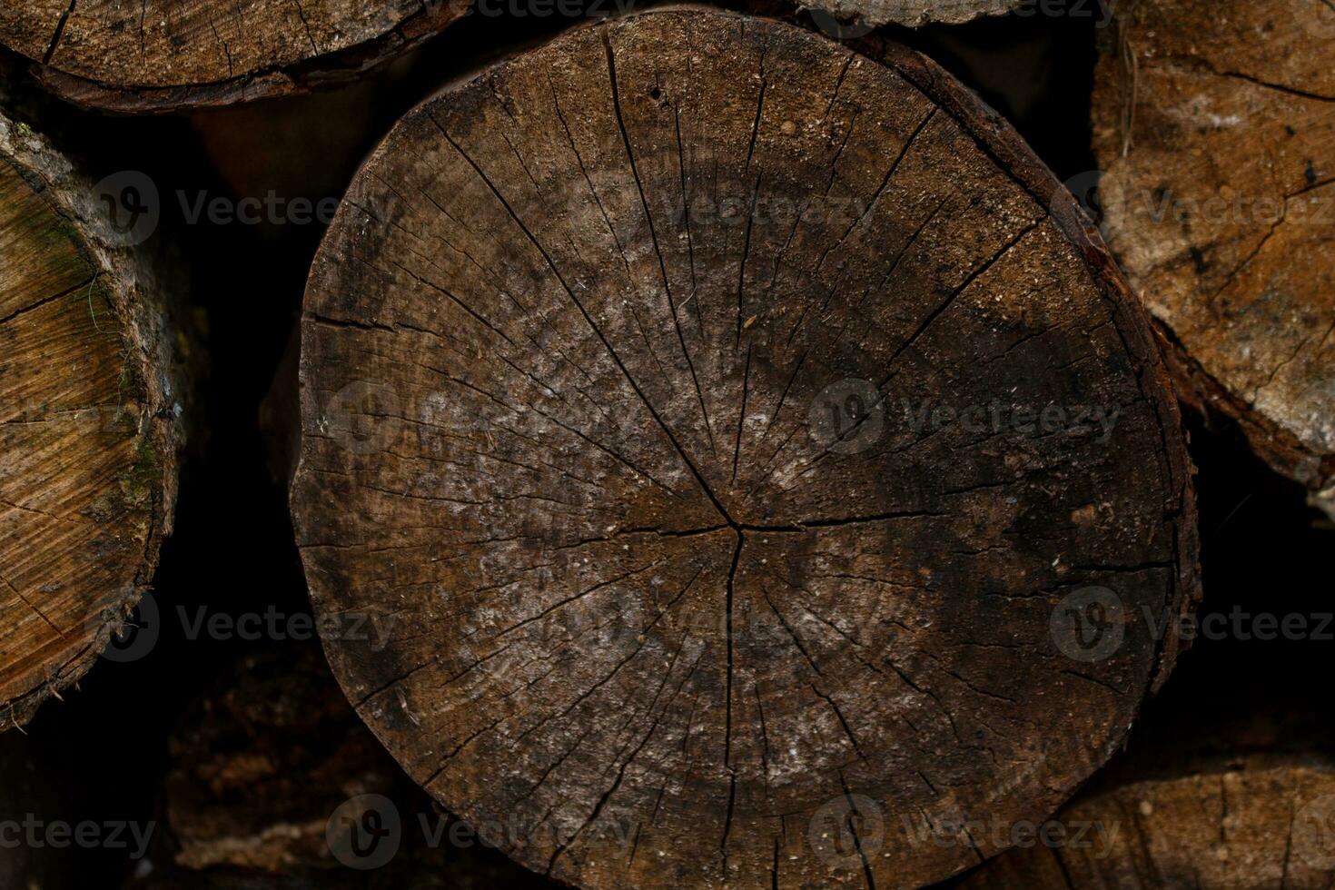 Wooden texture background. Close up of chopped firewood logs. photo