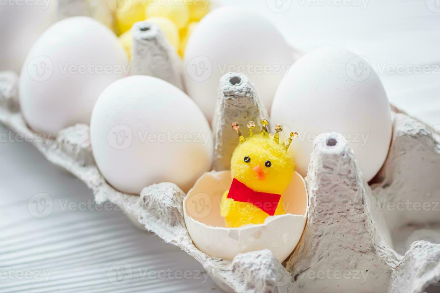 A small chicken in a broken shell near whole white chicken eggs. Easter is the concept of loneliness. Easter eggs in egg carton. photo